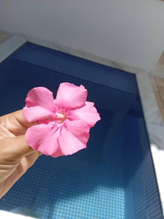 Tamandare Residence Luaran gambar